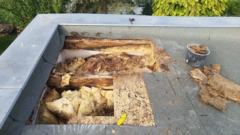 Cut out the affected roof area